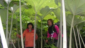 KONICA MINOLTA DIGITAL CAMERA