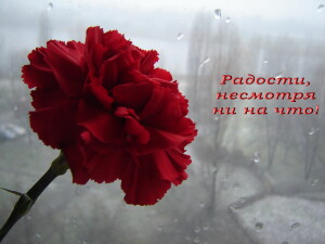 Радости несмотря ни на что