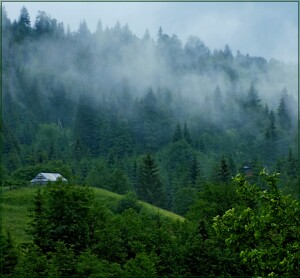 Степанське Туман