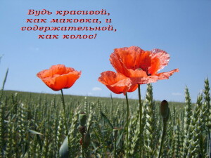 будь красовой