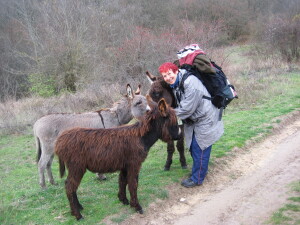 я с осликами