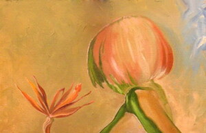 Стрелиция в живописи