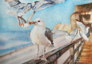 ЧАЙКИ НА МОСТУ